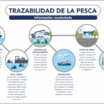 🐟🔍 Trazabilidad Pesca: La clave para garantizar la sostenibilidad y calidad del producto