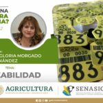 🔍🌱 Descubre la trazabilidad ♾️🌾SAG: ¡El secreto detrás de una agricultura sustentable!