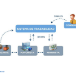 🔍📌 ¿Cómo funciona el sistema de trazabilidad? Descubre los secretos detrás de esta herramienta clave 🧐