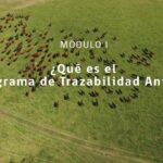 🐾 Maximiza la Trazabilidad Animal SAG: Mantén un Control Efectivo 📈