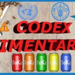 🔍🍽️ ¡Descubre la importancia de la trazabilidad Codex Alimentarius! Guía completa y actualizada 📙🌍