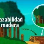 🌲✅ «Trazabilidad de Productos Forestales: ¡Descubre la clave para un comercio sostenible!