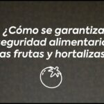 🍅🥦 Trazabilidad de Frutas y Hortalizas: ¡Descubre cómo garantizar la calidad de tus alimentos!