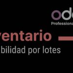 🔍✅ Descubre la 📦💼 Trazabilidad por Lotes: Optimiza tu gestión de productos